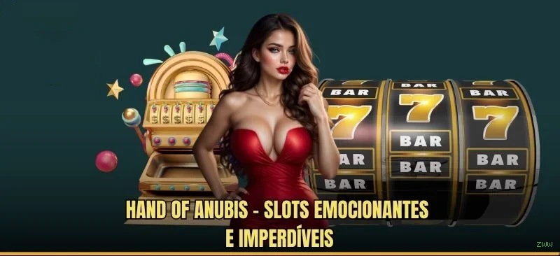 Conta zww sincronizada site e app